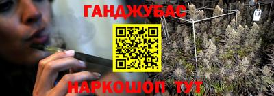сатива Гай