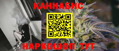 сатива Гай