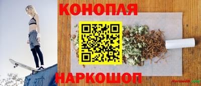 сатива Гай