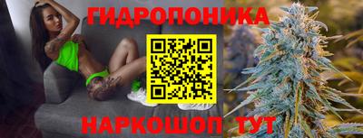кокаин Гатчина