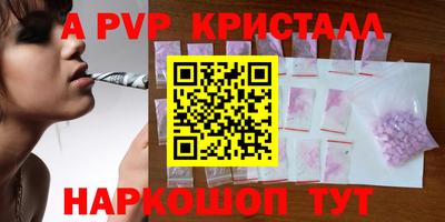 сатива Гай