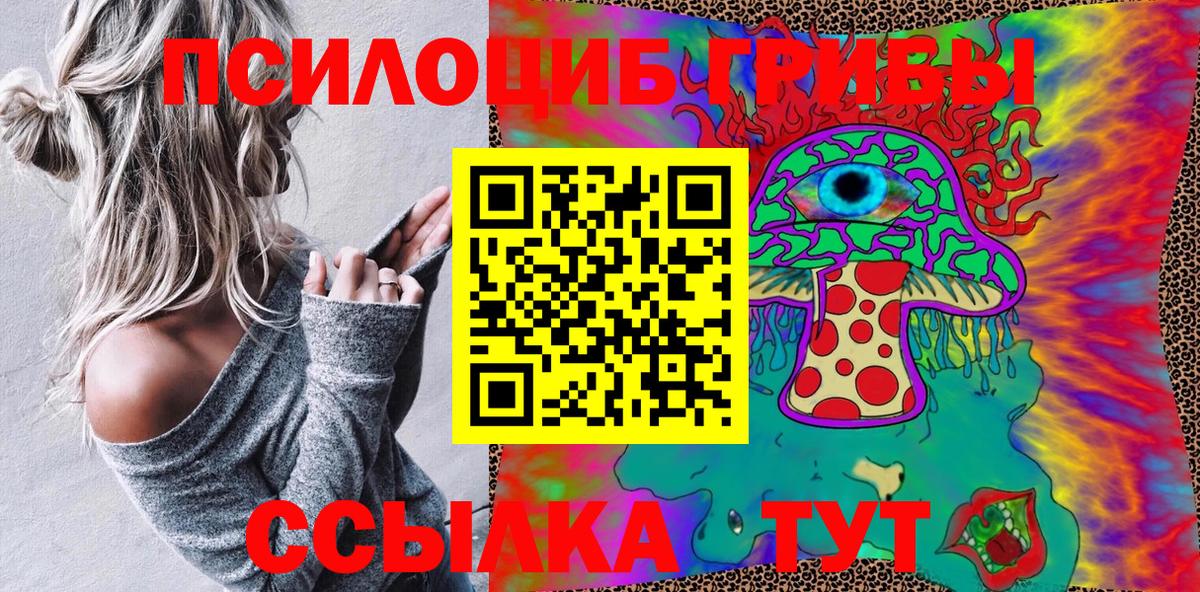 что такое   Вход с VPN  Фурманов  Псилоцибиновые грибы мицелий 
