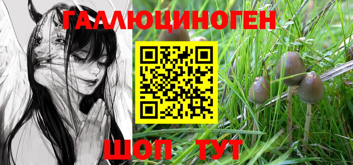 Галлюциногенные грибы Psilocybine cubensis Фурманов